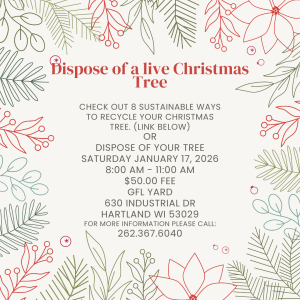Dispose of Live Christmas Trees